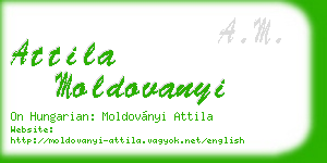 attila moldovanyi business card