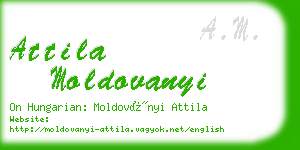 attila moldovanyi business card